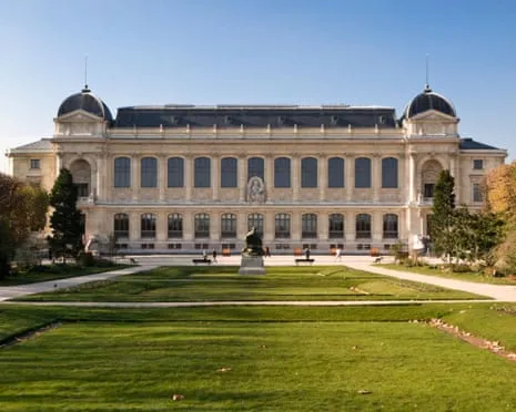 Priceless Gold Samples Taken in Daring Heist at French Natural History Institution